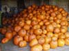 2000 pumpkins